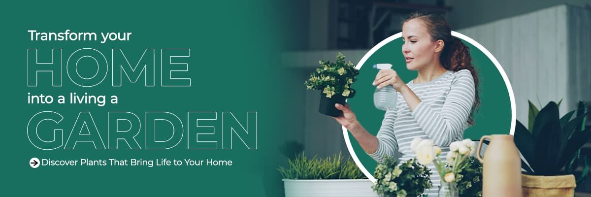 Indoor-gardening