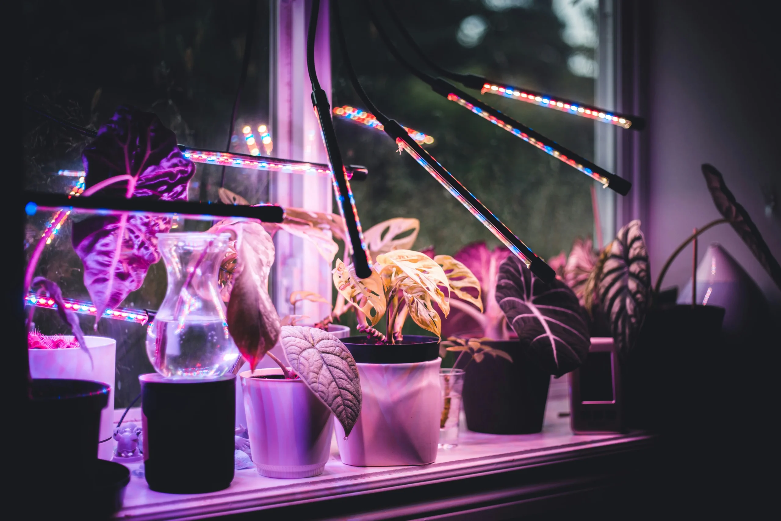 Grow lights