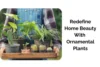 Top Ornamental Plants That Add Beauty and Value to Your Home - Post Thumbnail