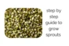 How to Grow Sprouts at Home: Easy Step by Step Guide - Post Thumbnail