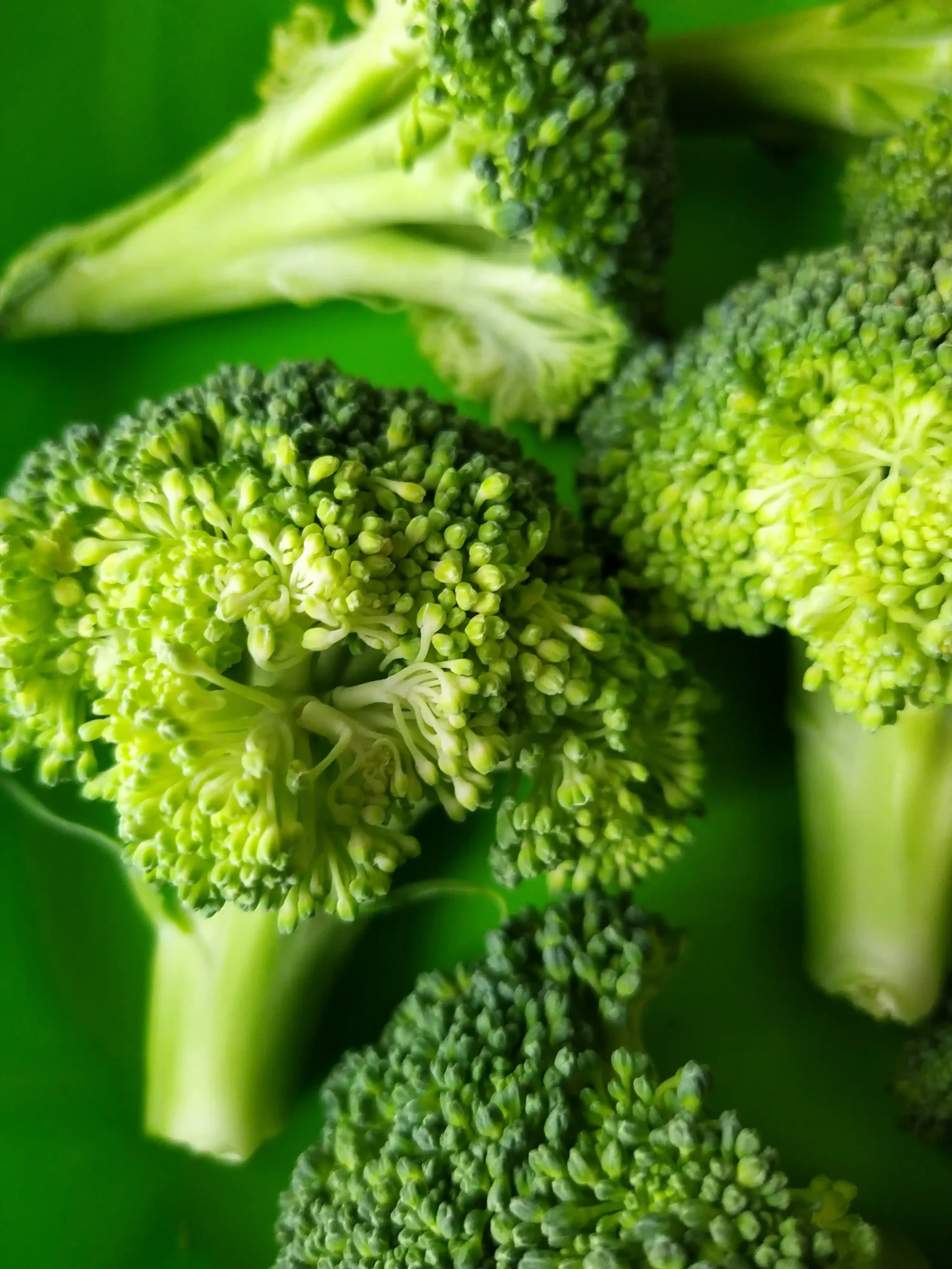 broccoli