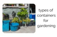 Best Containers for Gardening: Complete Guide for Beginners