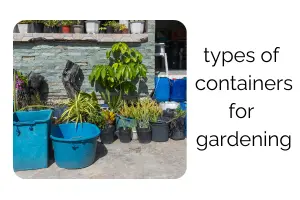 Best Containers for Gardening: Complete Guide for Beginners