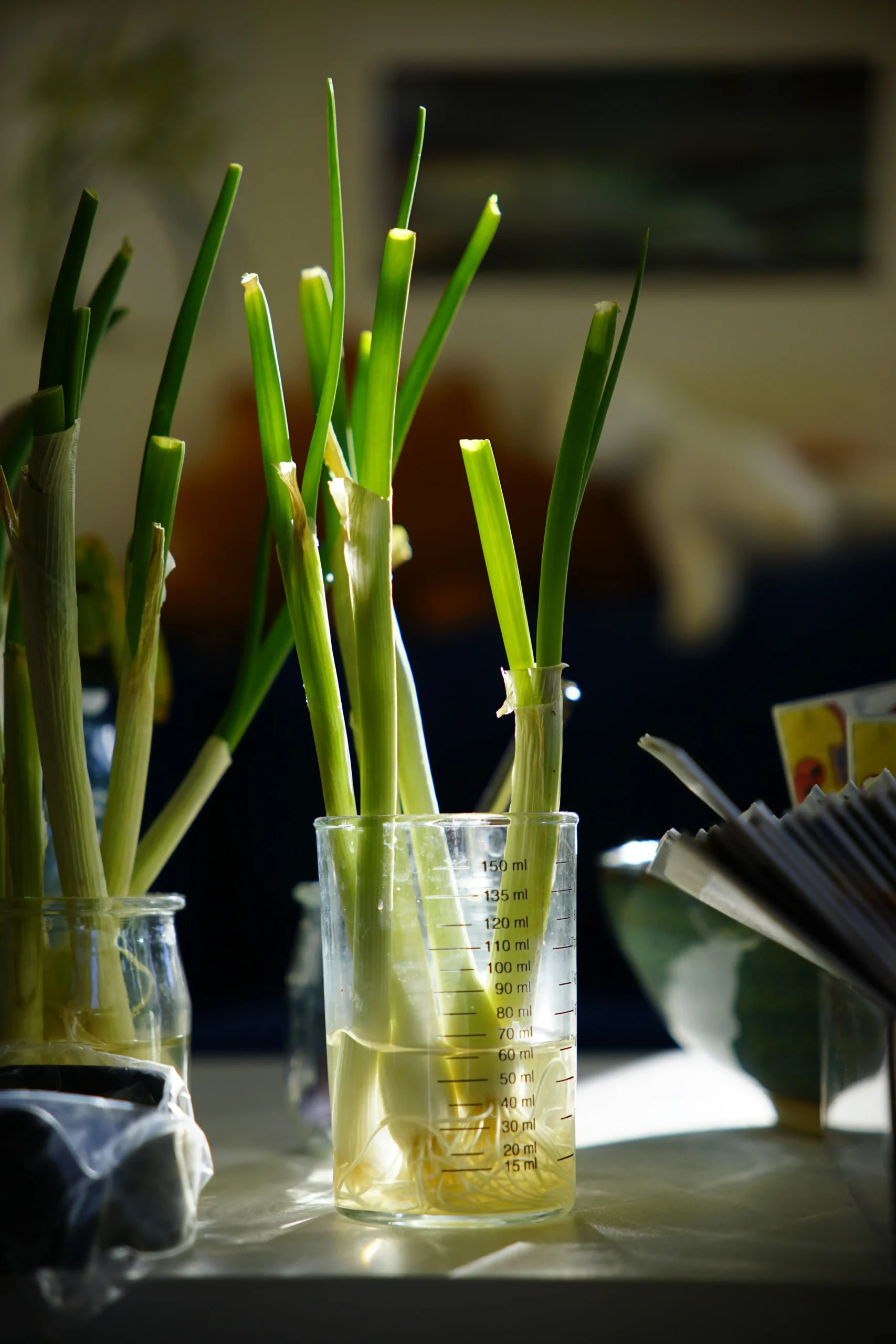green onions