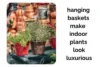 Hanging Baskets That Make Indoor Plants Look More Luxurious - Post Thumbnail