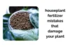 Houseplant Fertilizer Mistakes That May Be Damaging Your Plants - Post Thumbnail