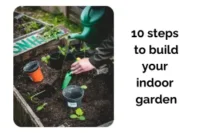 Indoor Garden Made Easy: 10 Steps to Build Your Green Space