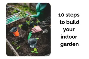 Indoor Garden Made Easy: 10 Steps to Build Your Green Space