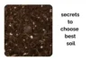 Secrets to Choosing the Best Soil for Indoor Herbs - Post Thumbnail