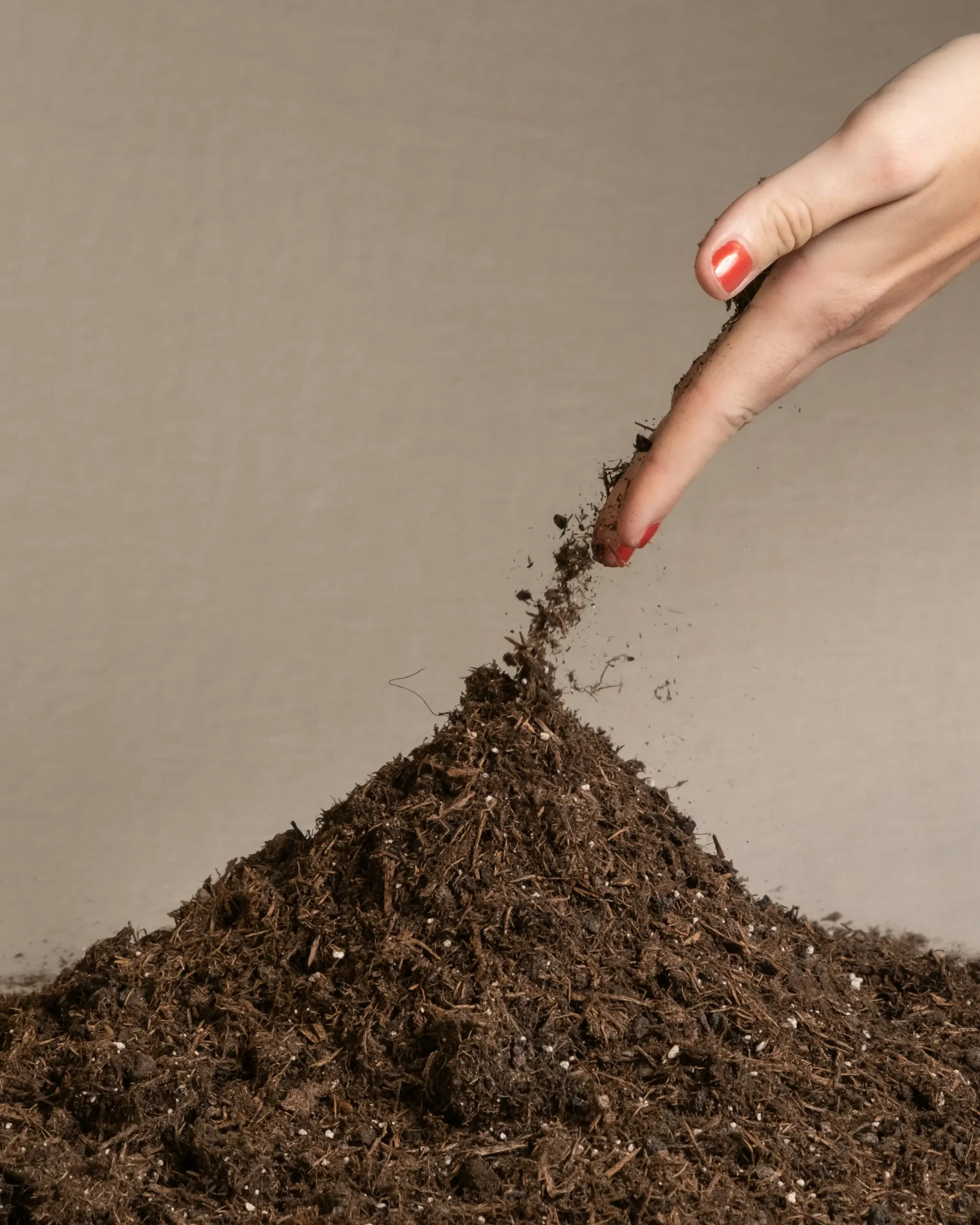 soil
