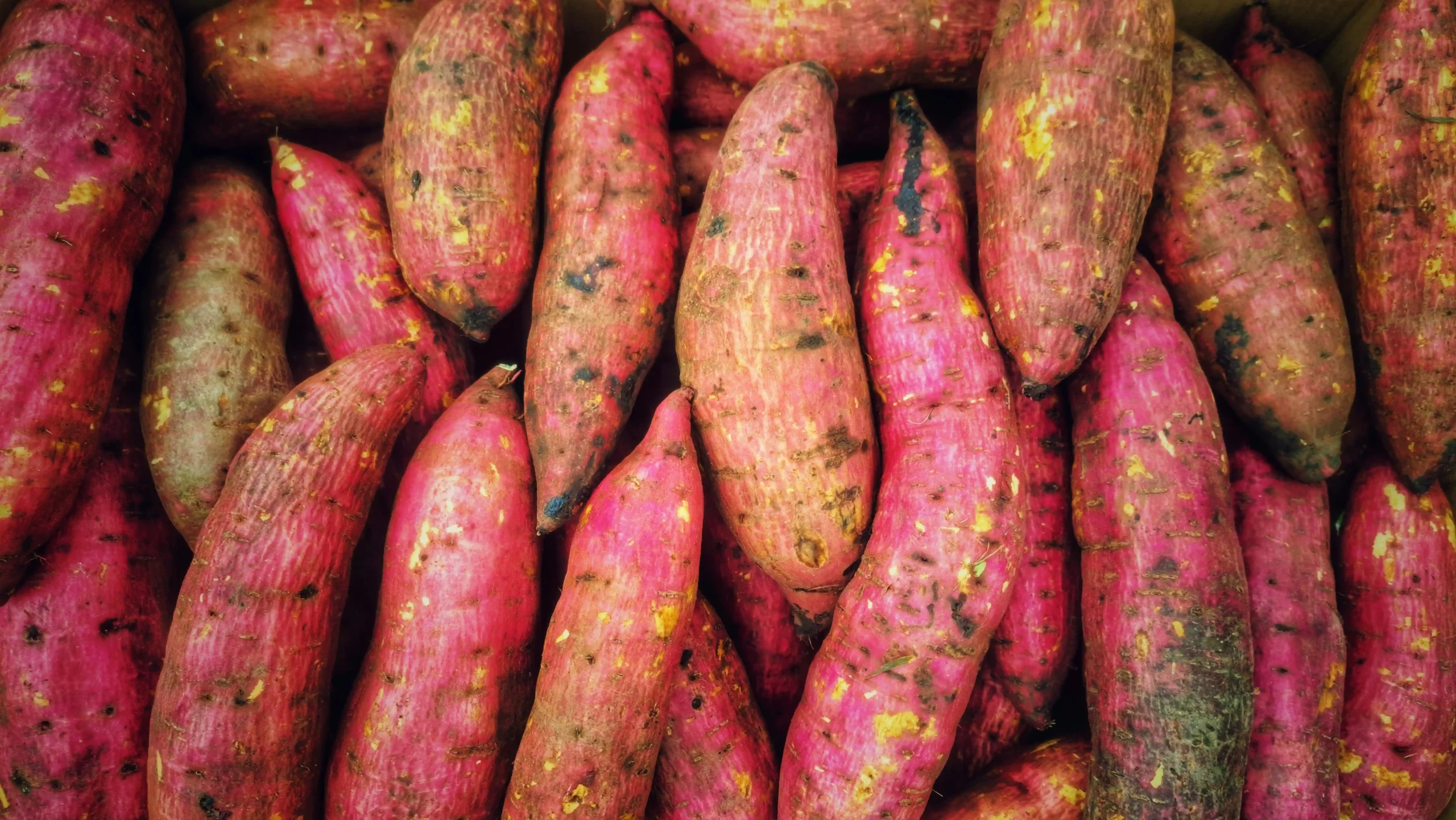 sweet potatoes 